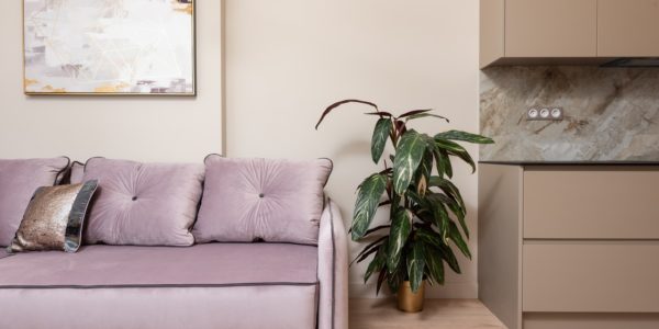 Mieszkanie zakupione za gotówkę z gdańskiego skupu mieszkań. Na zdjęciu widać kanapę, szafę, obraz oraz roślinę w doniczce.